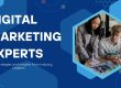 Digital Marketing Experts