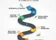 Digital Marketing Process